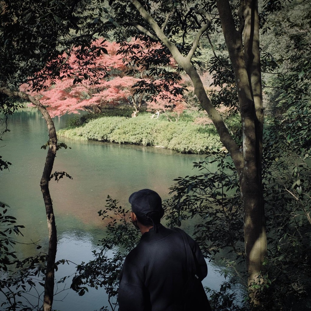 Person in a dark cap looking toward a pond with a pink-leaf tree on a small island, framed by branches.